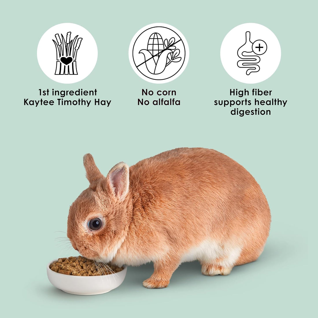 Kaytee Rabbit Food, Timothy Complete Rabbit Food Pellets, 9.5 Pounds