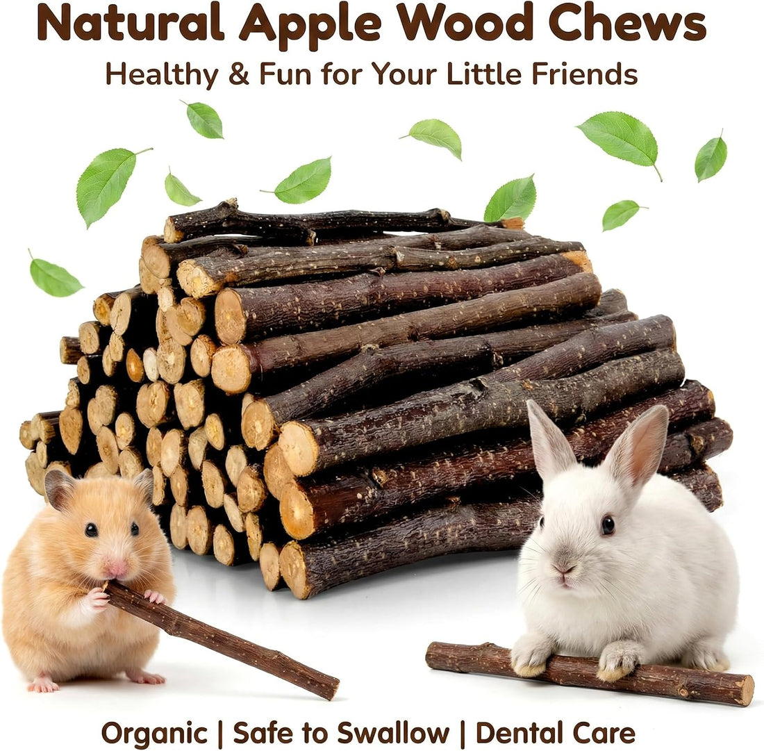 Sukh Natural Organic Apple Sticks - 250g Chew Sticks for Small Animals