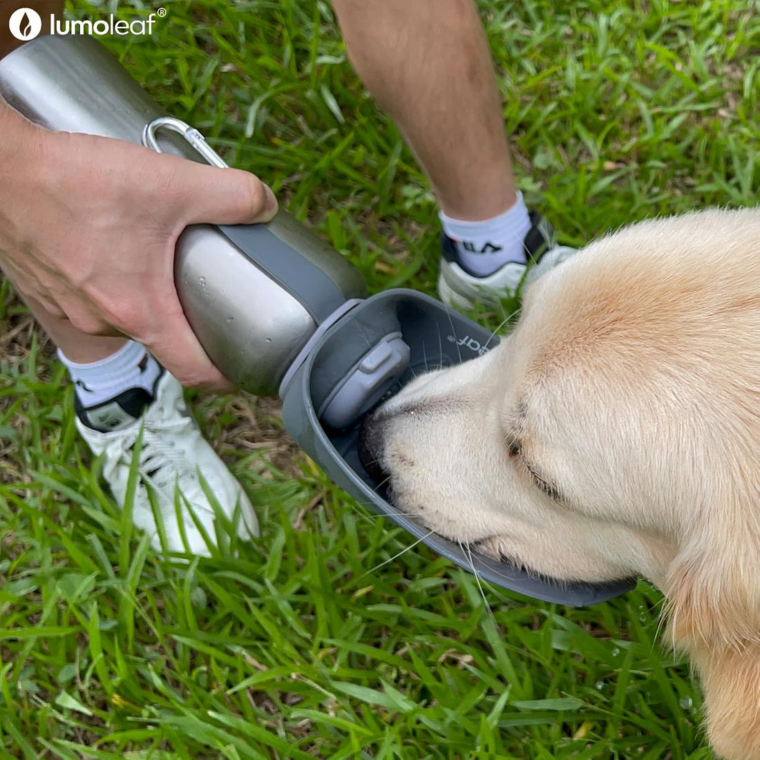 LumoLeaf Portable Dog Water Bottle 27 OZ