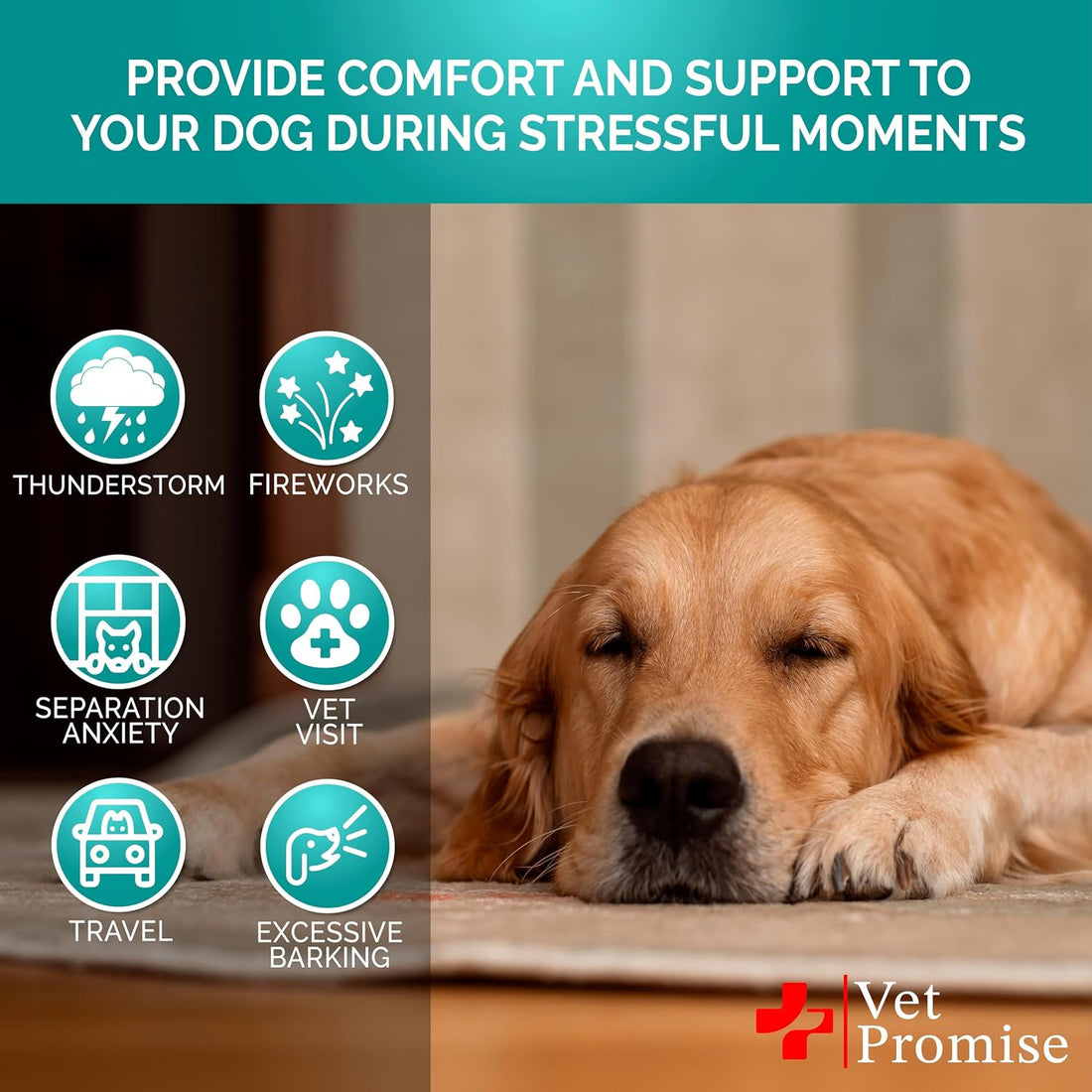 Advanced Calming Chews for Dogs