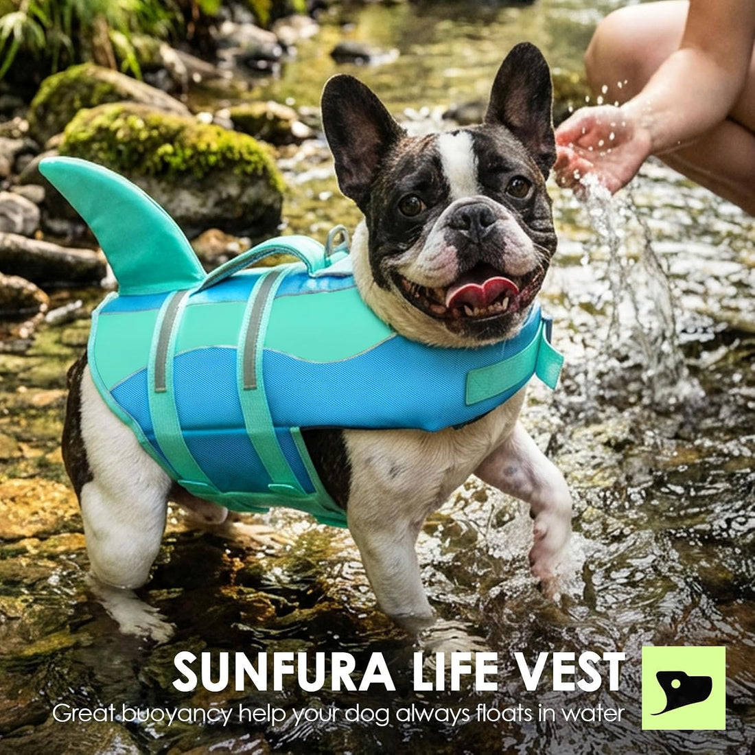 Dog Life Jacket - Shark Dog Life Vest for Swimming Boating