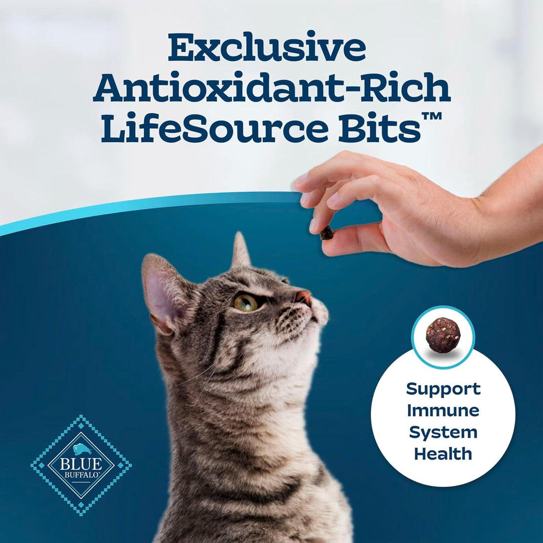 Blue Buffalo Tastefuls Chicken Adult Hairball Control Dry Cat Food