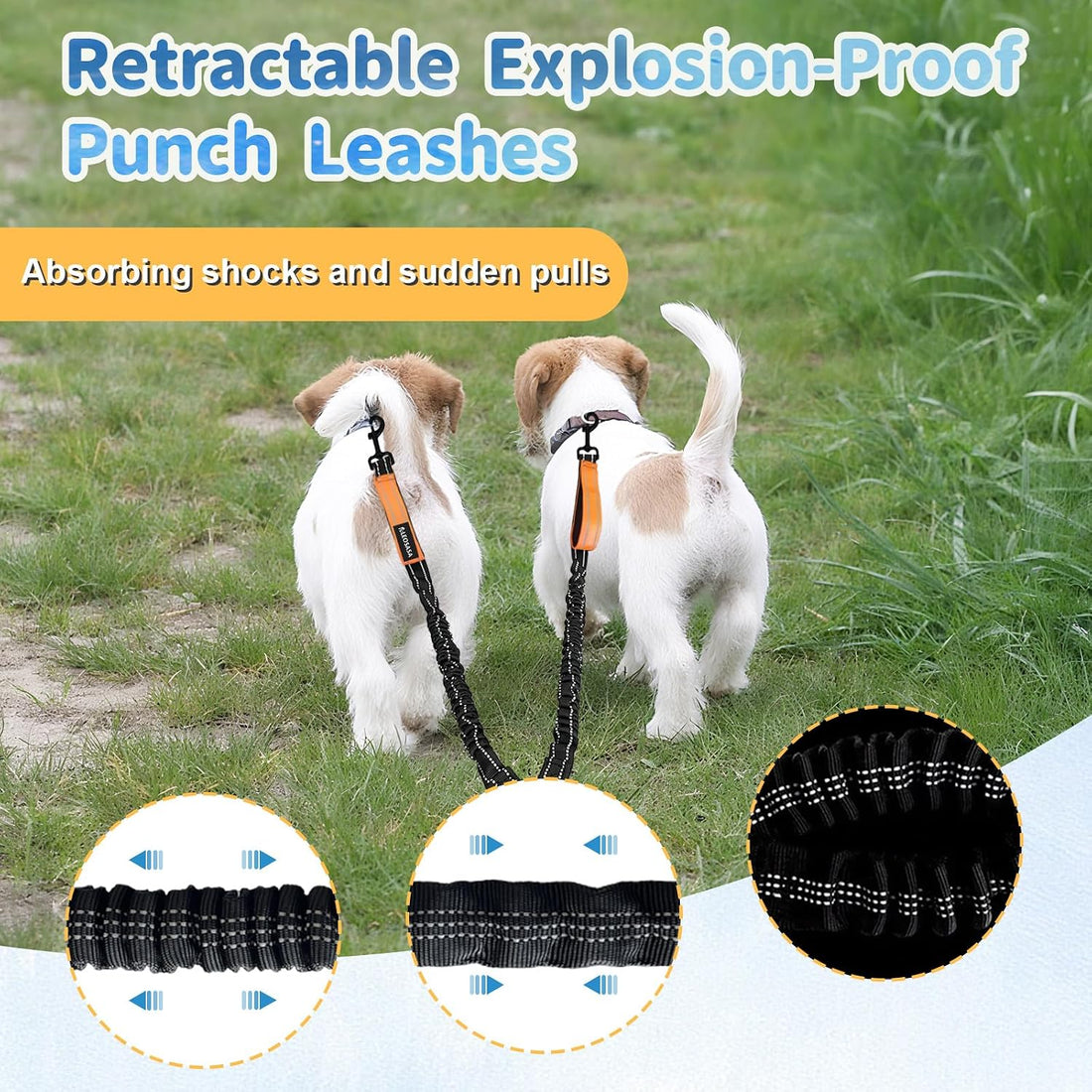 Double Dogs Leash - Removable Main Lead Rope with Splitter