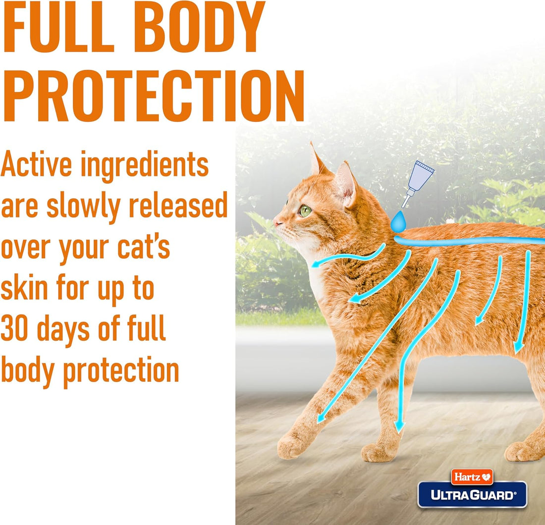 Hartz UltraGuard Topical Flea & Tick Prevention for Cats and Kittens