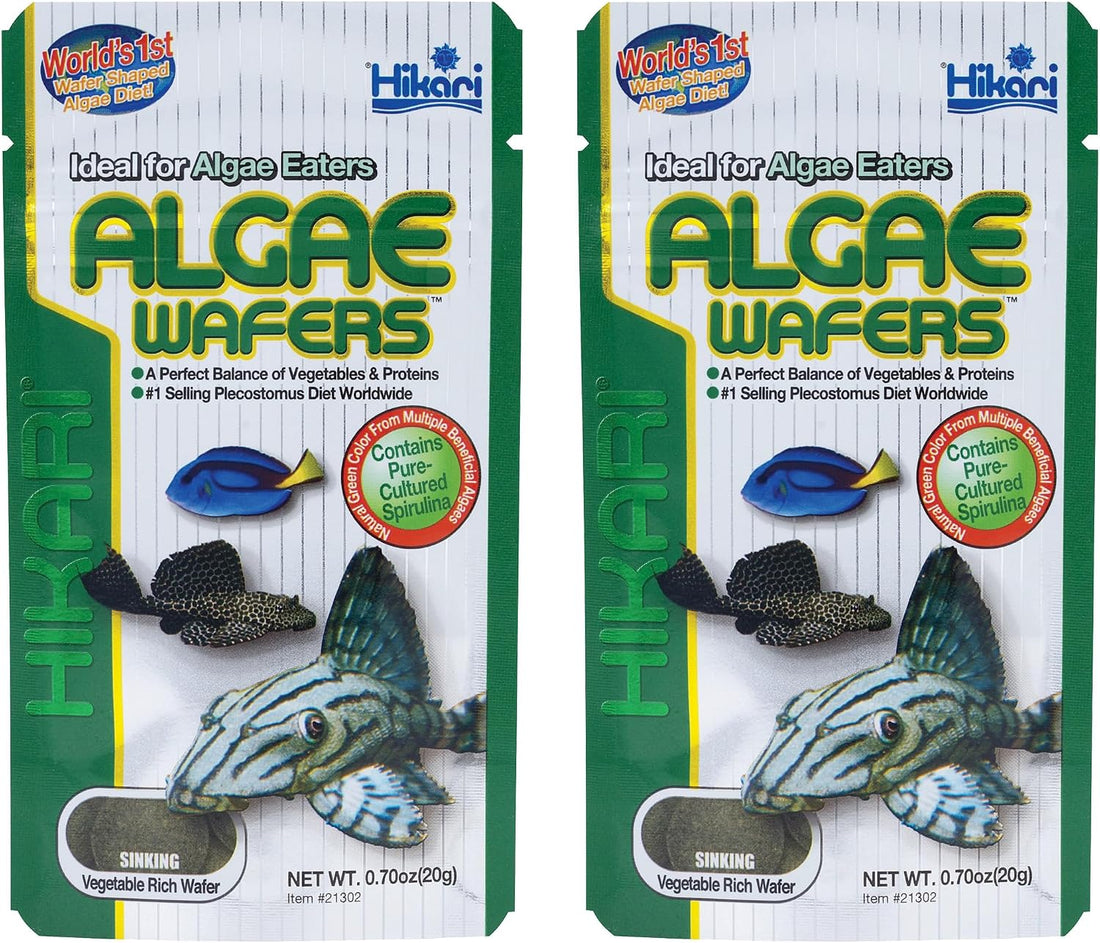 Hikari Mini Algae Wafers, 0.77 oz