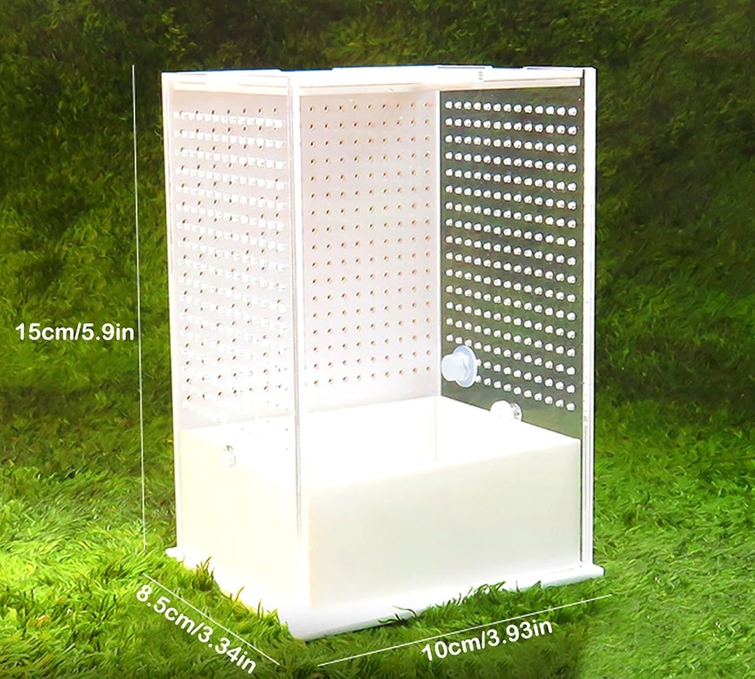 OMEM Reptile Breeding Box, Insect Incubator, for Orchid Mantis