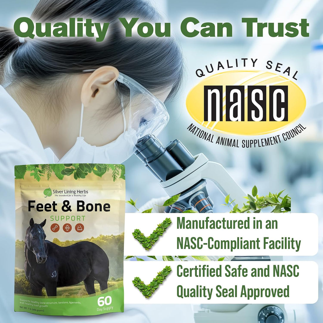 Silver Lining Herbs Feet & Bone Horse Hoof Supplements, Tendons