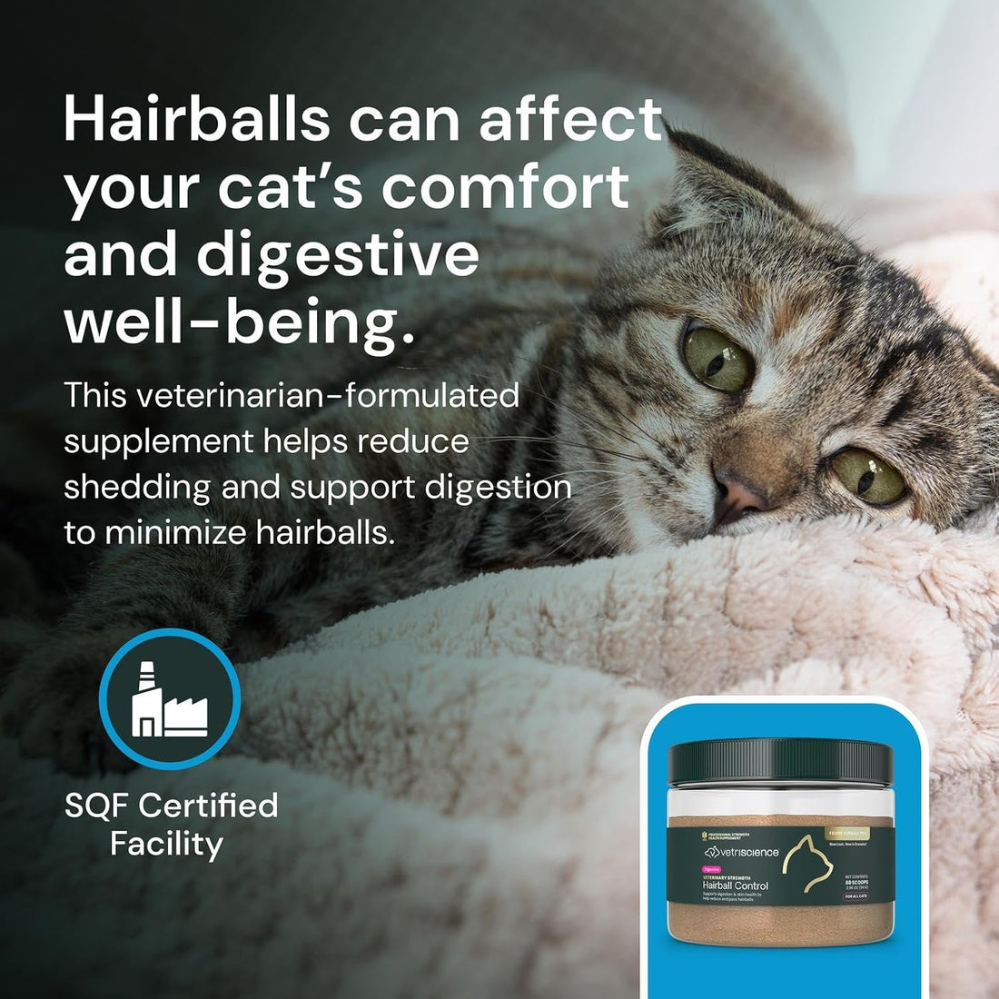 VETRISCIENCE Vet Strength Hairball Control for Cats, 60 Scoops