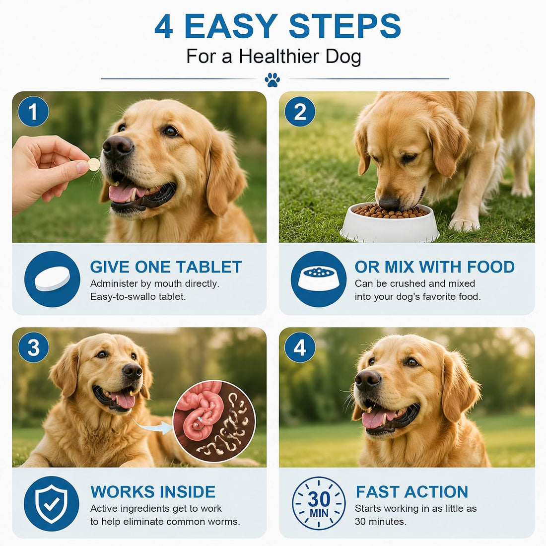 Dewormer for Dogs, Oral Treatment of Tapeworm