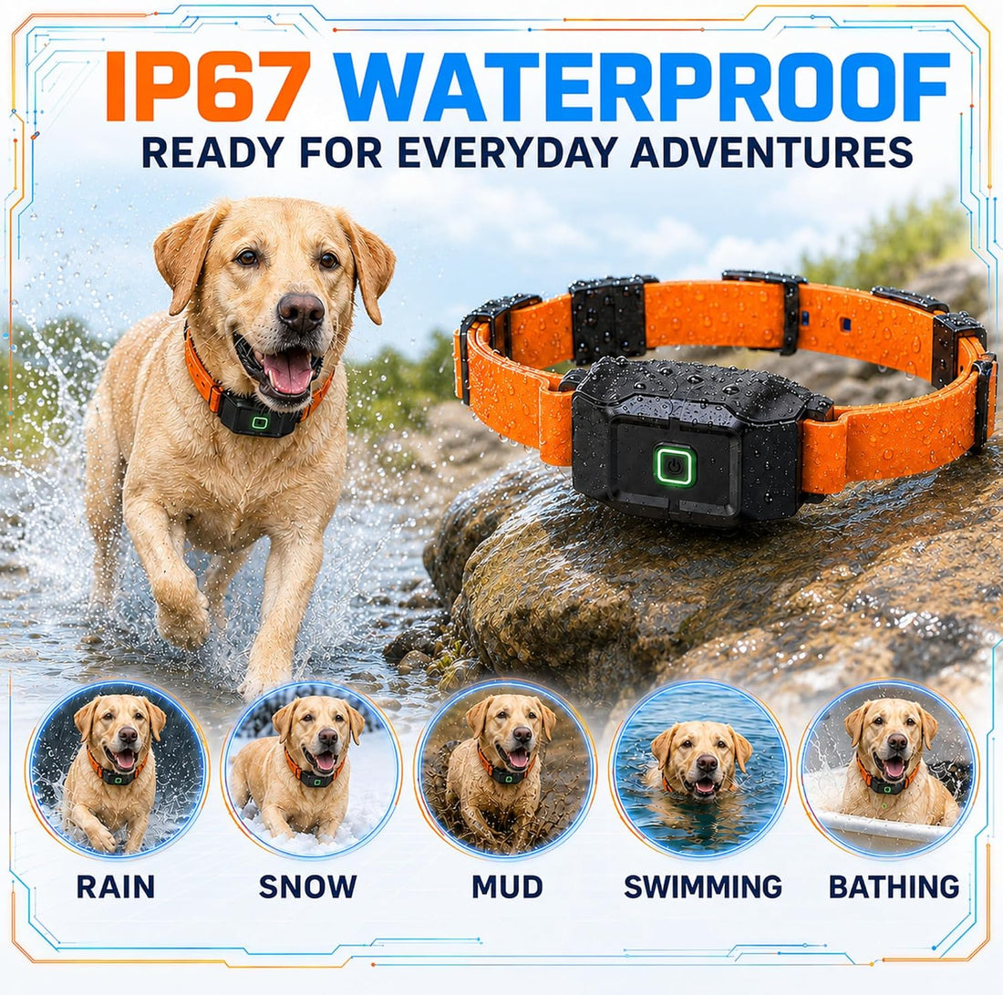 RPZ GPS Wireless Dog Fence System with Free App, No Subscription