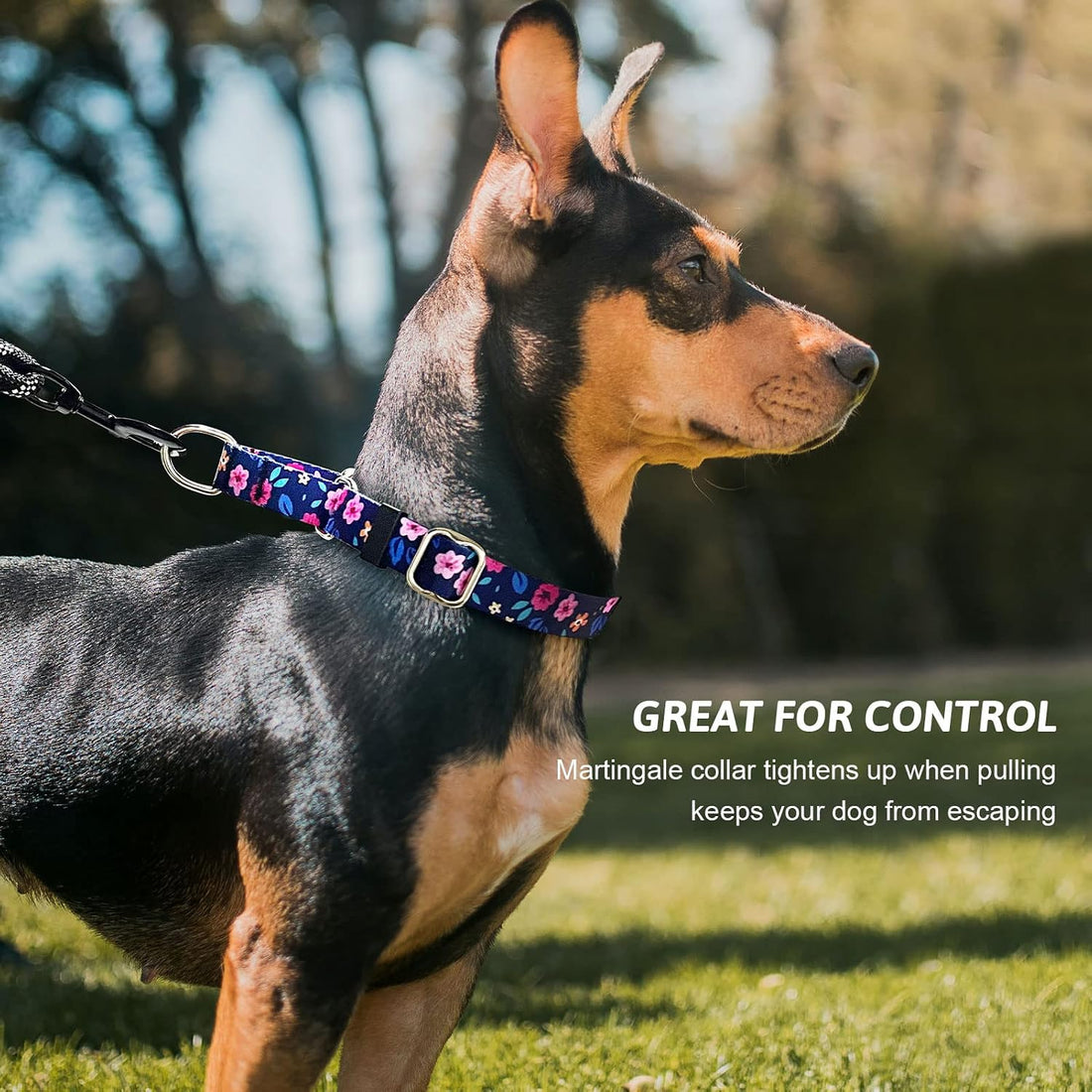 Martingale Dog Collar with Buckle,Adjustable Soft Nylon with Pattern,M