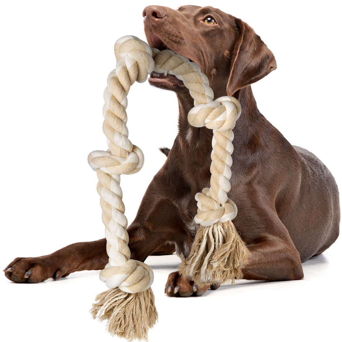 Fida Dog Rope Toys for Large/Medium Aggressive Chewers