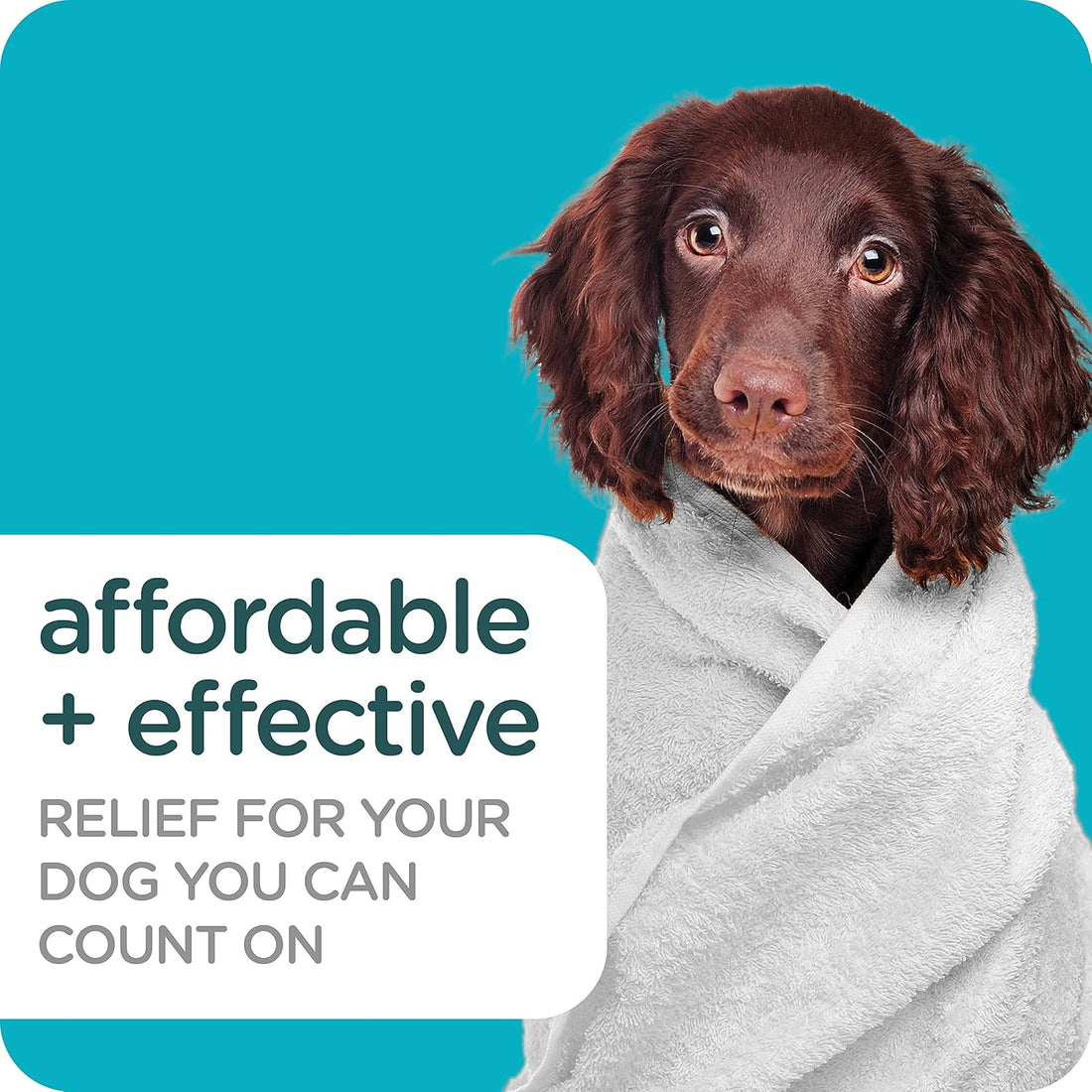 Sergeant's Guardian PRO Flea & Tick Shampoo Dogs, Kills Eggs 30 Days