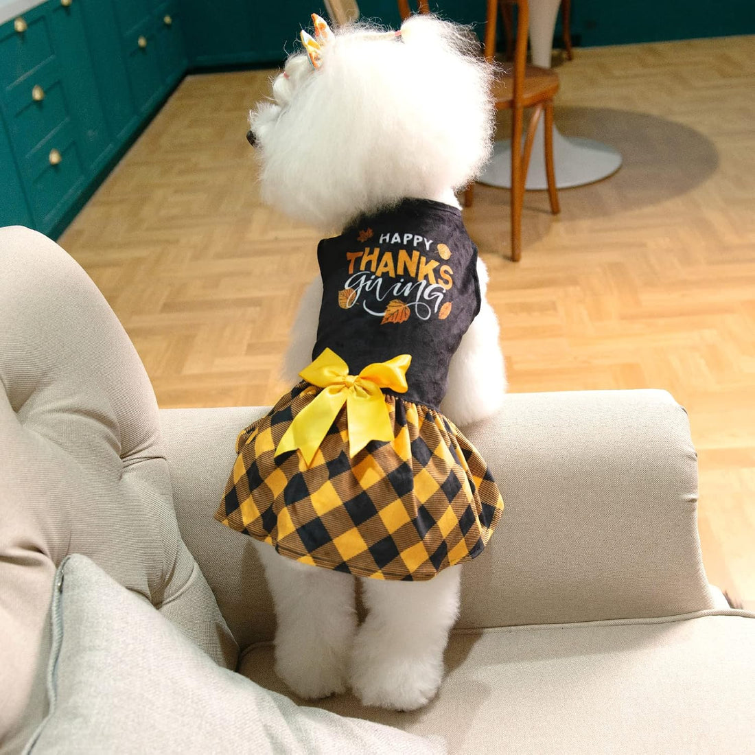 CuteBone Happy Thanksgiving Day Dog Fall Dress Costume Velvet