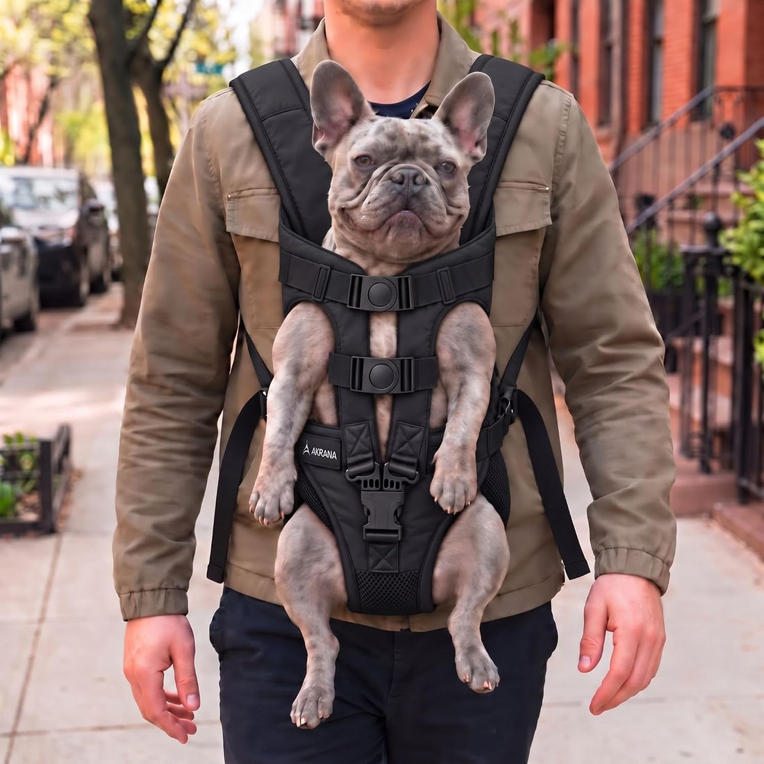 Dog Backpack Carrier for Small Dogs (Medium)