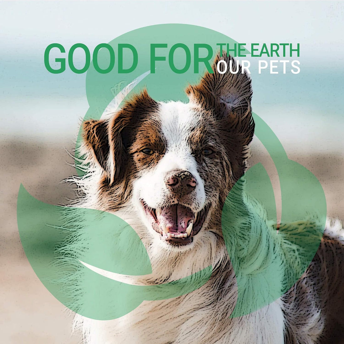 Green Groom White Dog Shampoo, 1 Gallon - All Natural Ingredients