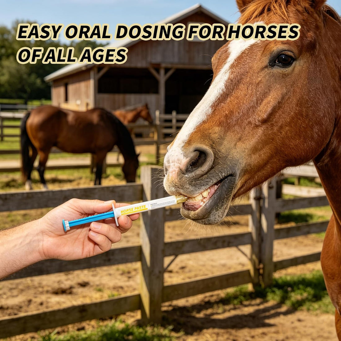 Equine Paste 1.87% | Apple Flavored – 6.08g Tube for Horses, 1-Pack