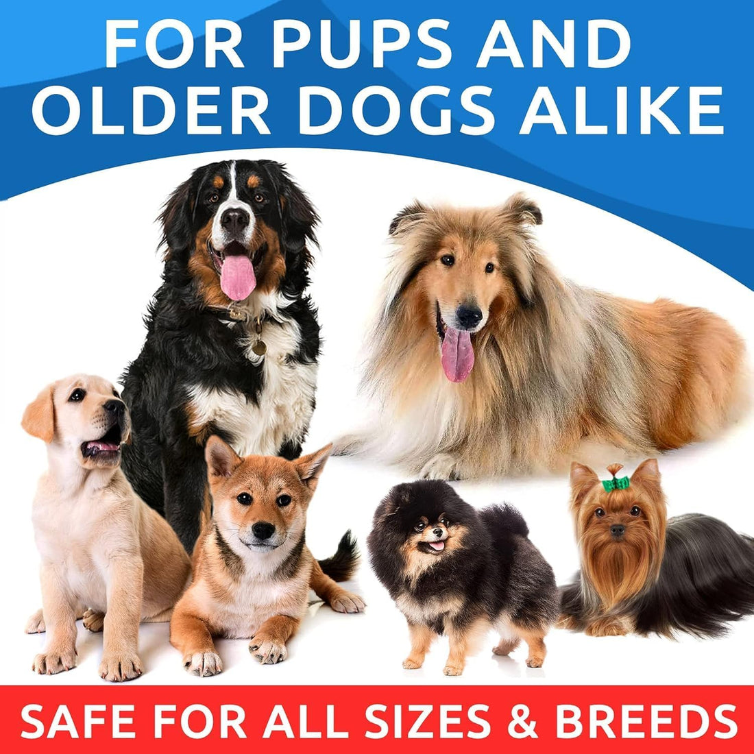 BARK&SPARK Omega 3 for Dogs - 180 Fish Oil Treats for Dog Shedding