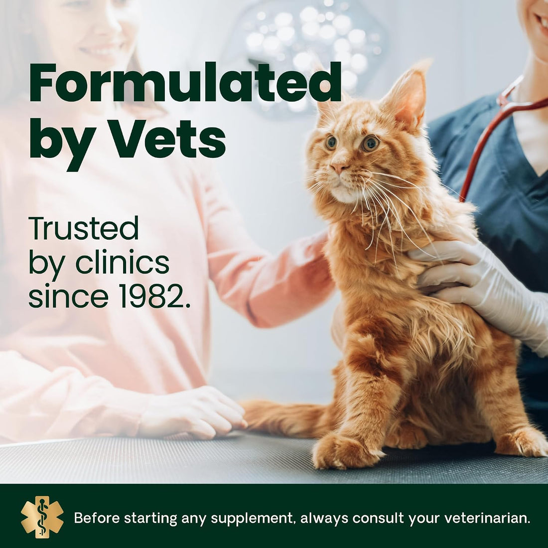 VetriScience Kidney Health Powder for Cats, Chicken & Cheese