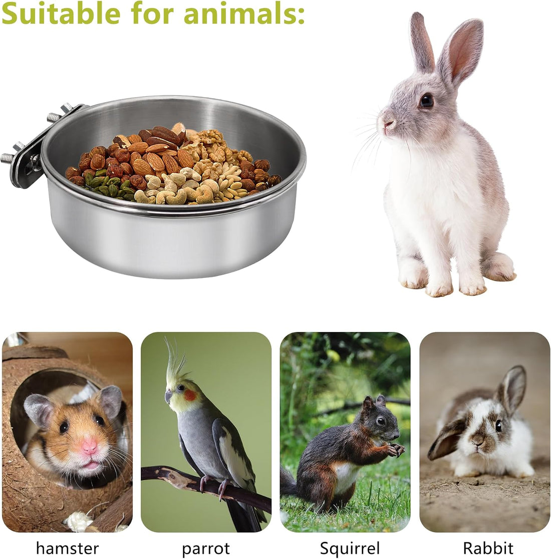 DVHEY 2 Pcs Small Bird Feeding Dish Cups,Parrot Food Bowl Cage