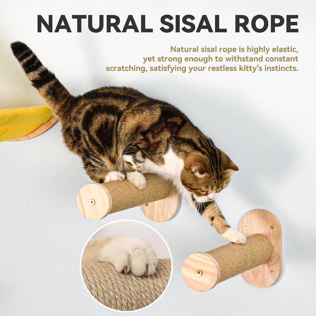 Wall Cat Bed Moon Hammock Wall Mounted Shelf with 2 Steps Climbing