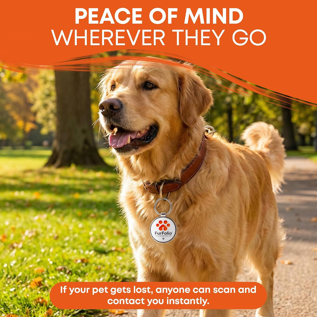 QR Code Dog Tag for Dogs & Cats – Smart Pet ID Tag