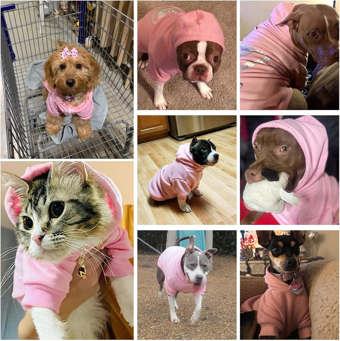 EXPAWLORER Princess Dog Hoodie-Soft Fleece Dog Sweater Clothes