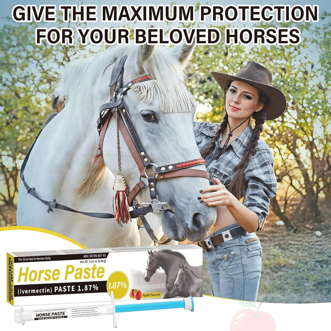 12 Pack Equine Paste 1.87% (6.08g Each)– Apple Flavored Oral for Horse