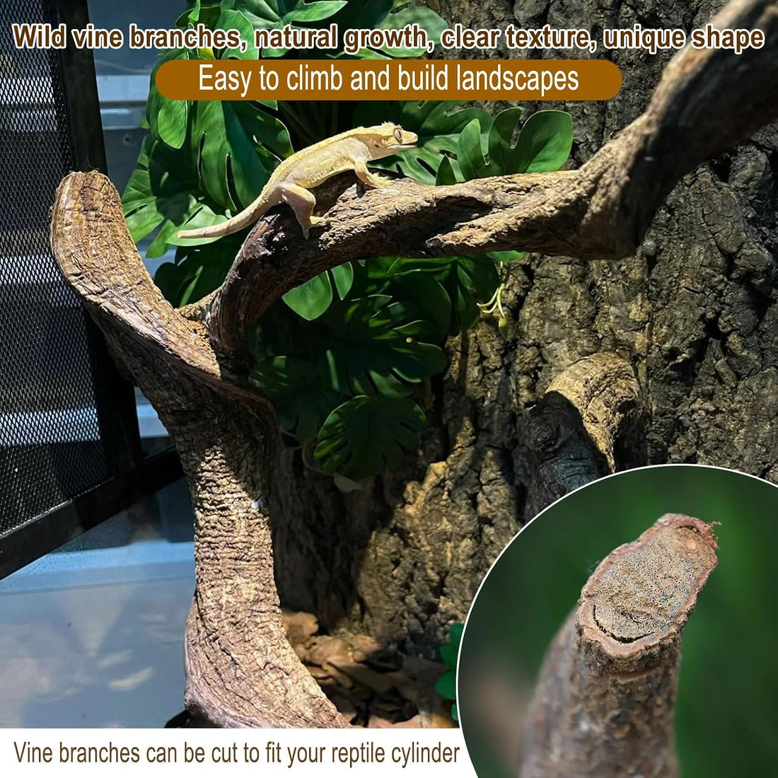 Reptile Decor 4PCS Natural Forest Branch Terrarium Habitat Wood