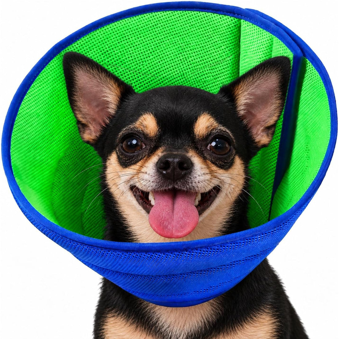 Soft Dog Cone Recovery Collars & Cones After Surgery for XLarge Dogs