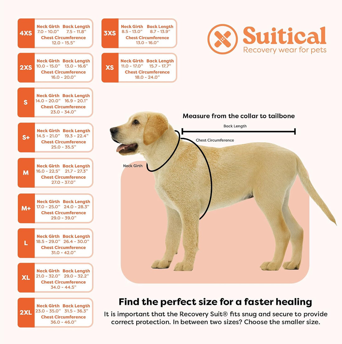 Suitical Recovery Suit for Dogs