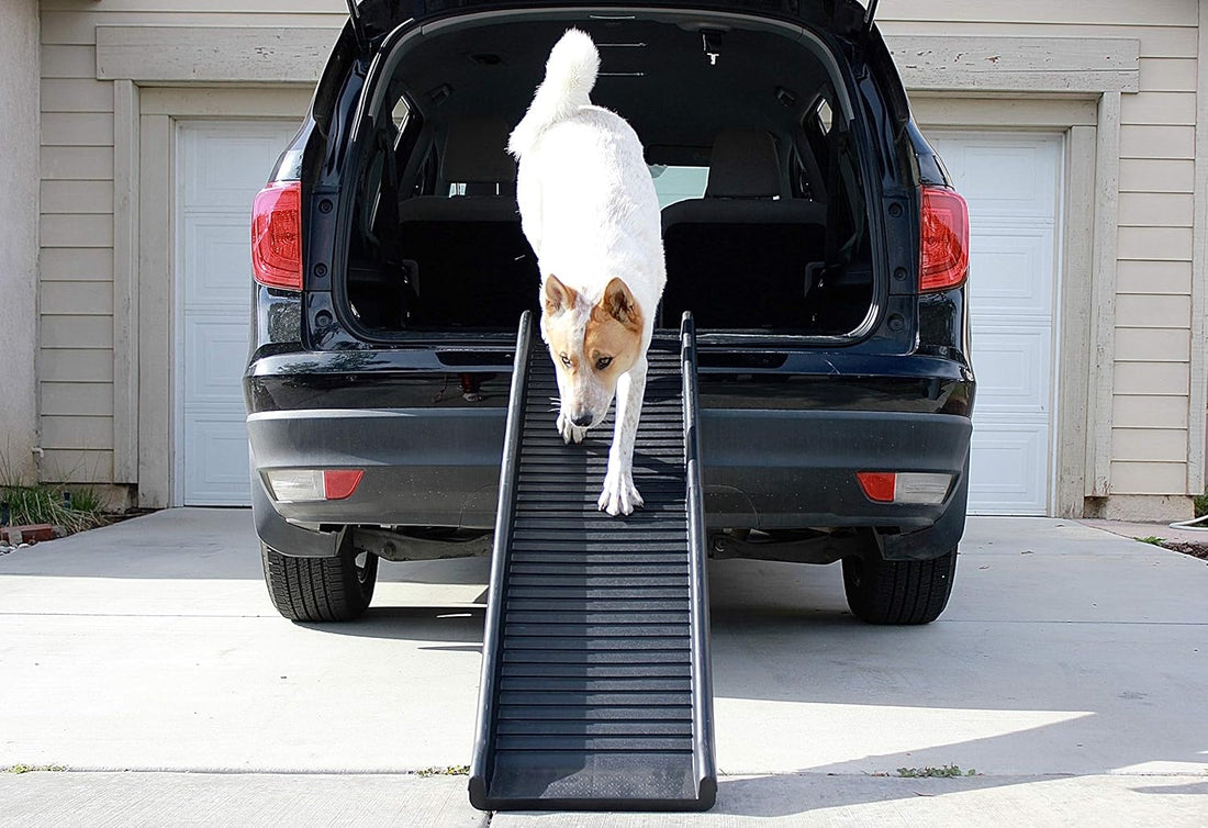 PawStep 61" Folding Pet Ramp, Portable Dog Ramp for Cars, SUVs