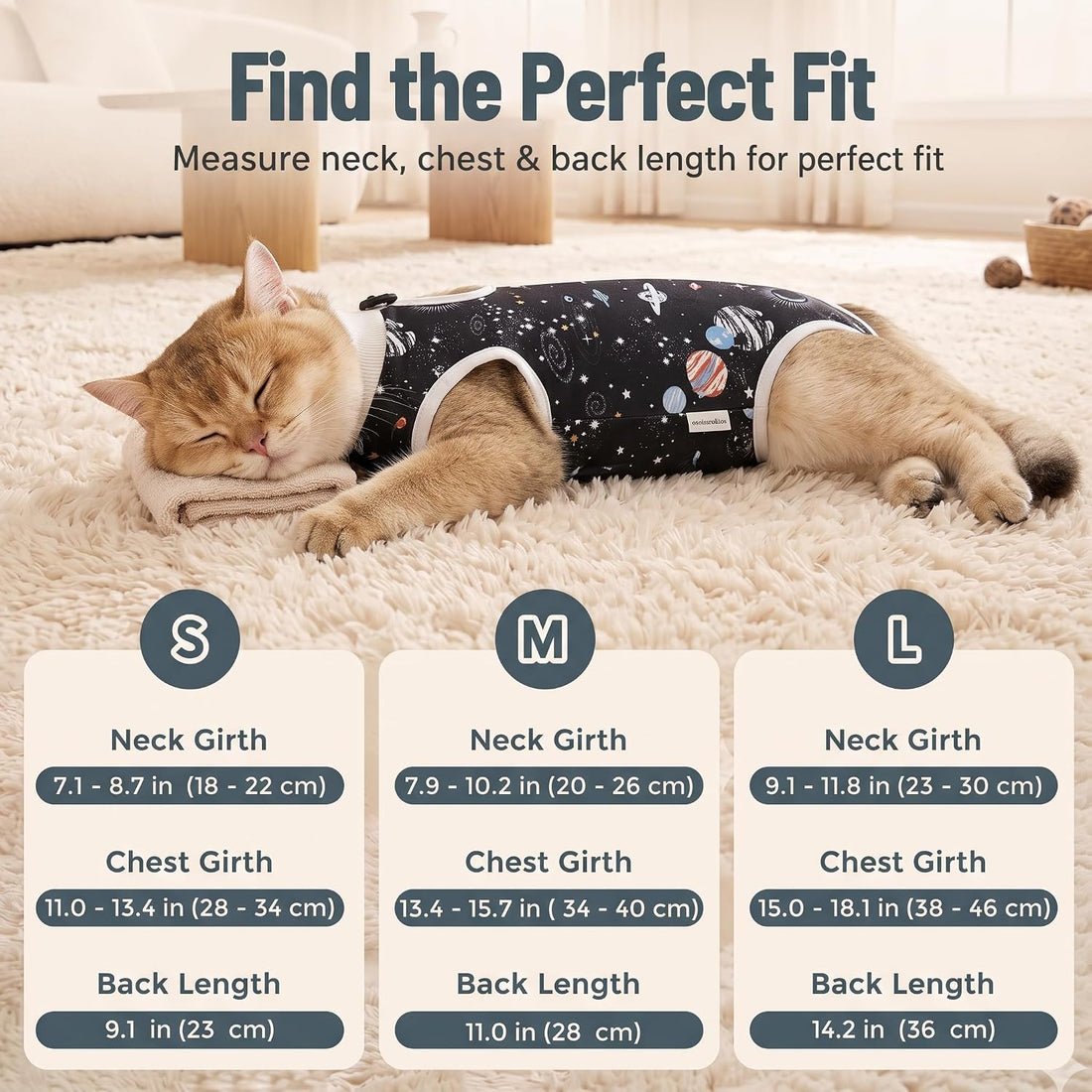 Avont 2-Pack Cat Recovery Suit for Spay Healing -Space M 2026 New