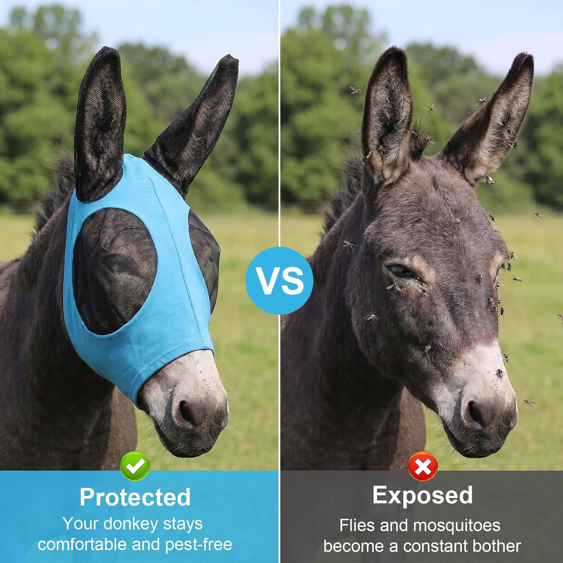 2 Pcs Mini Donkey Fly Mask with Ears Protection and Big Mesh Eye