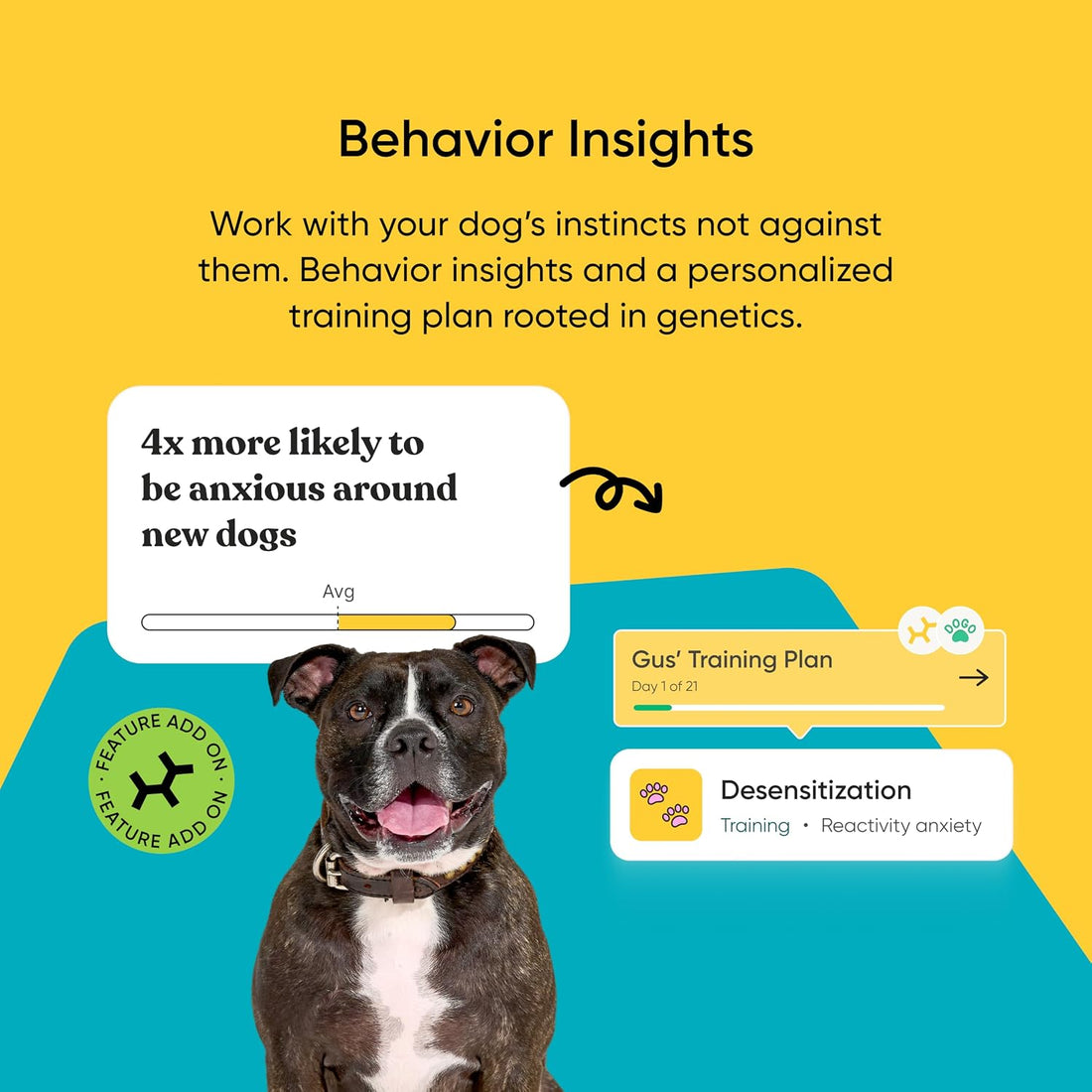 Embark Breed Identification Kit - Most Accurate Dog DNA Testing Kit