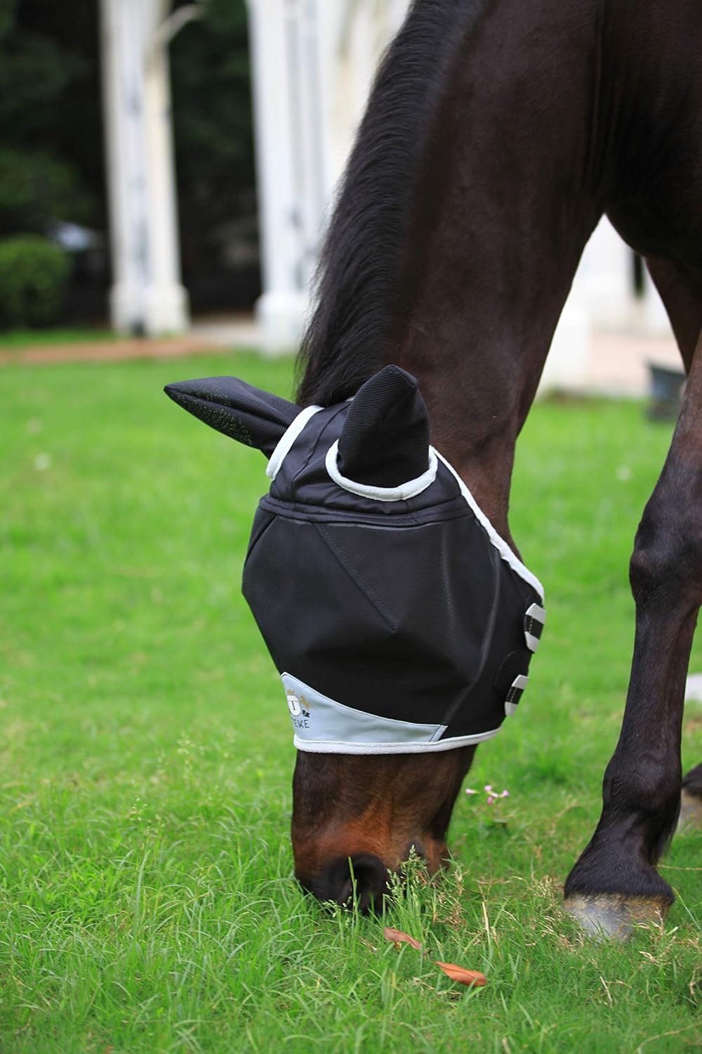 T TEKE Fine Mesh Horse Fly Mask with Ears