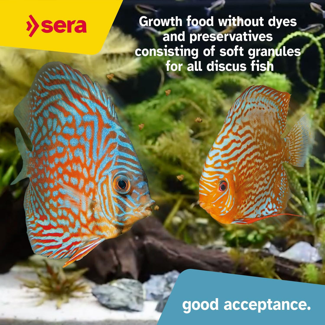 Sera Discus Prob Granules 4 oz | Discus Fish Food with Probiotics