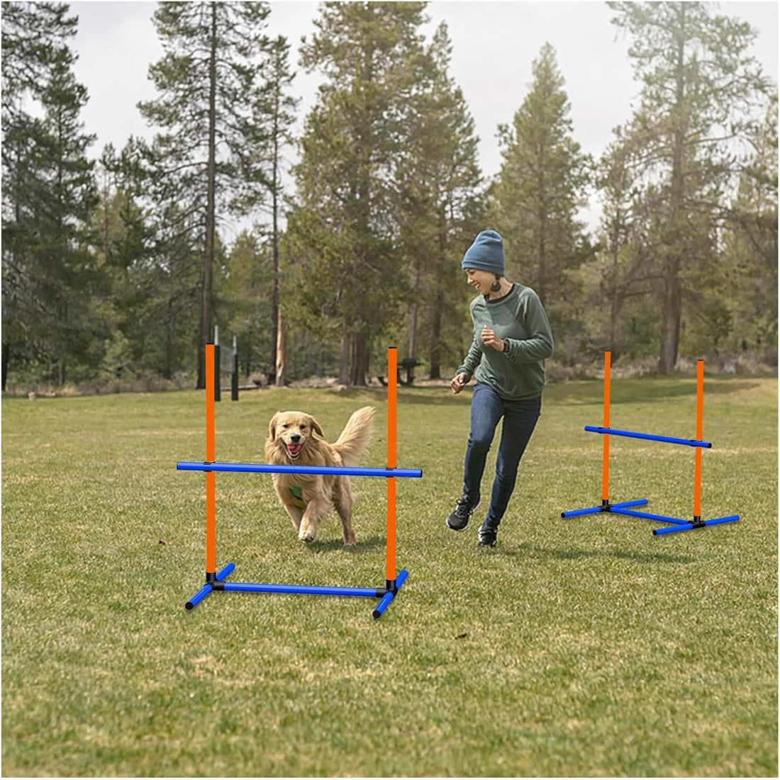 Dog Agility Equipment Set with Jumping Hoop for Agility Training