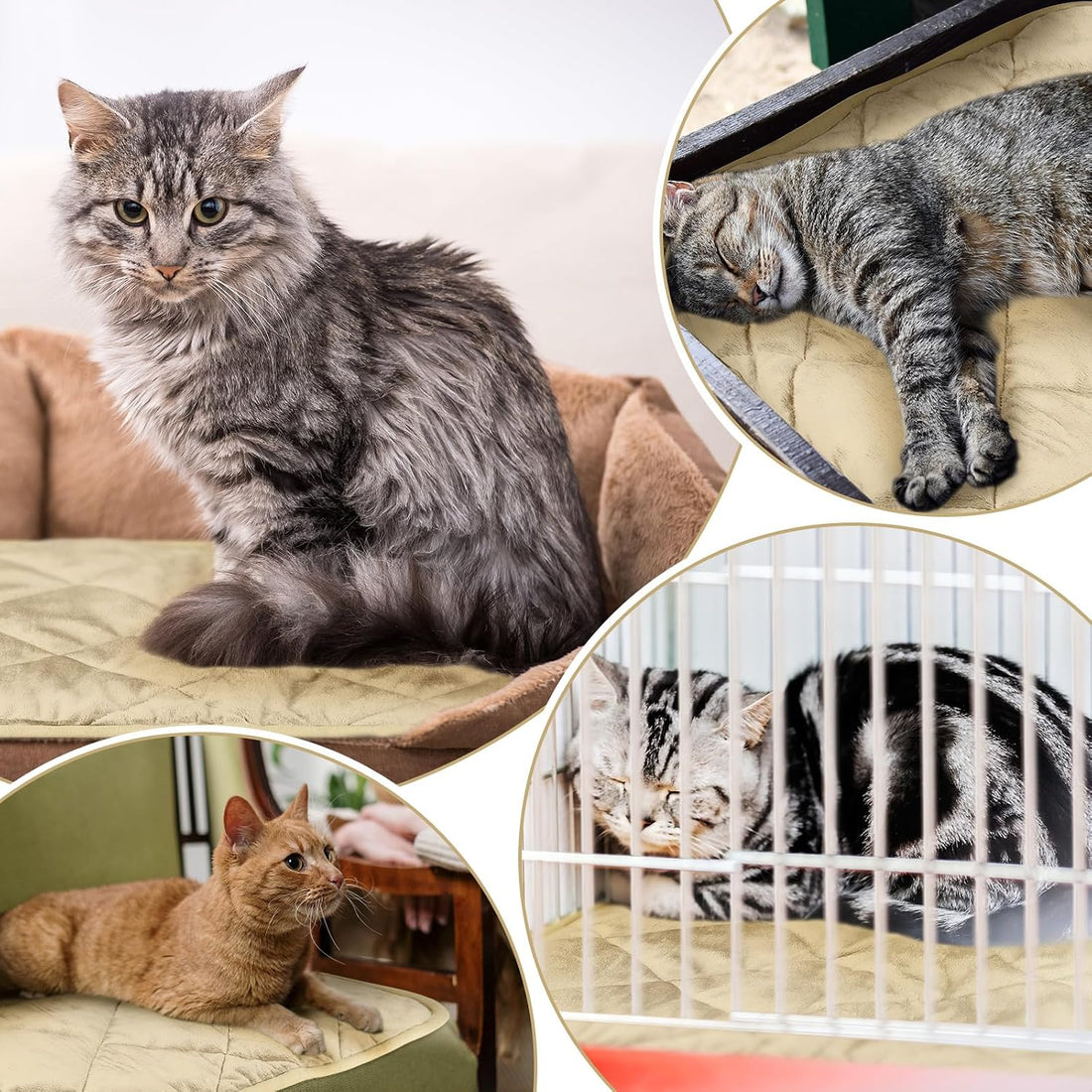 4 Pack Self Heating Cat Pad Self Warming Dog Mat, 16 x 20 Inch, Beige