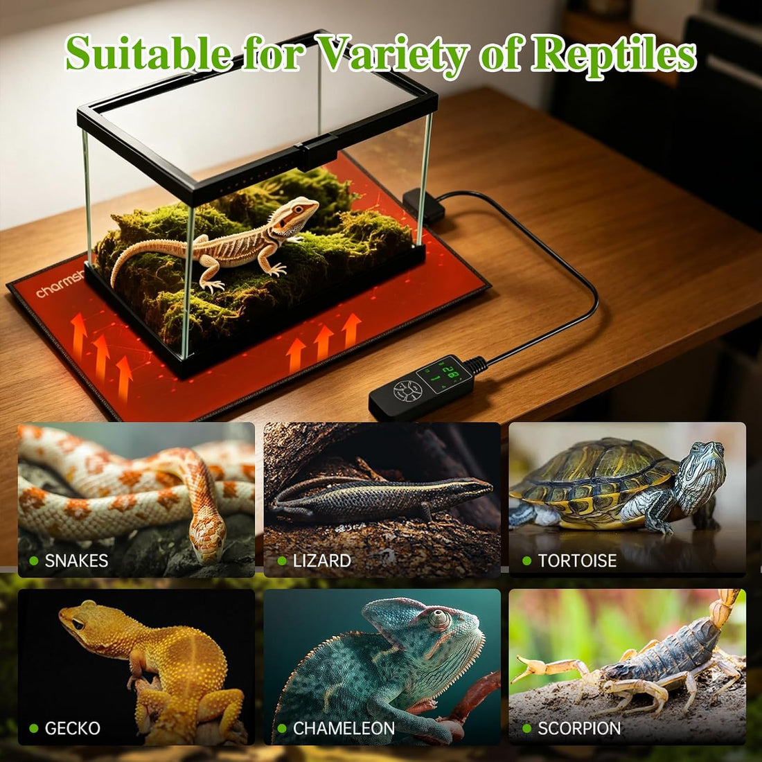 8 by 12-inch 16W Reptile Heating Pad Graphene with Temperature
