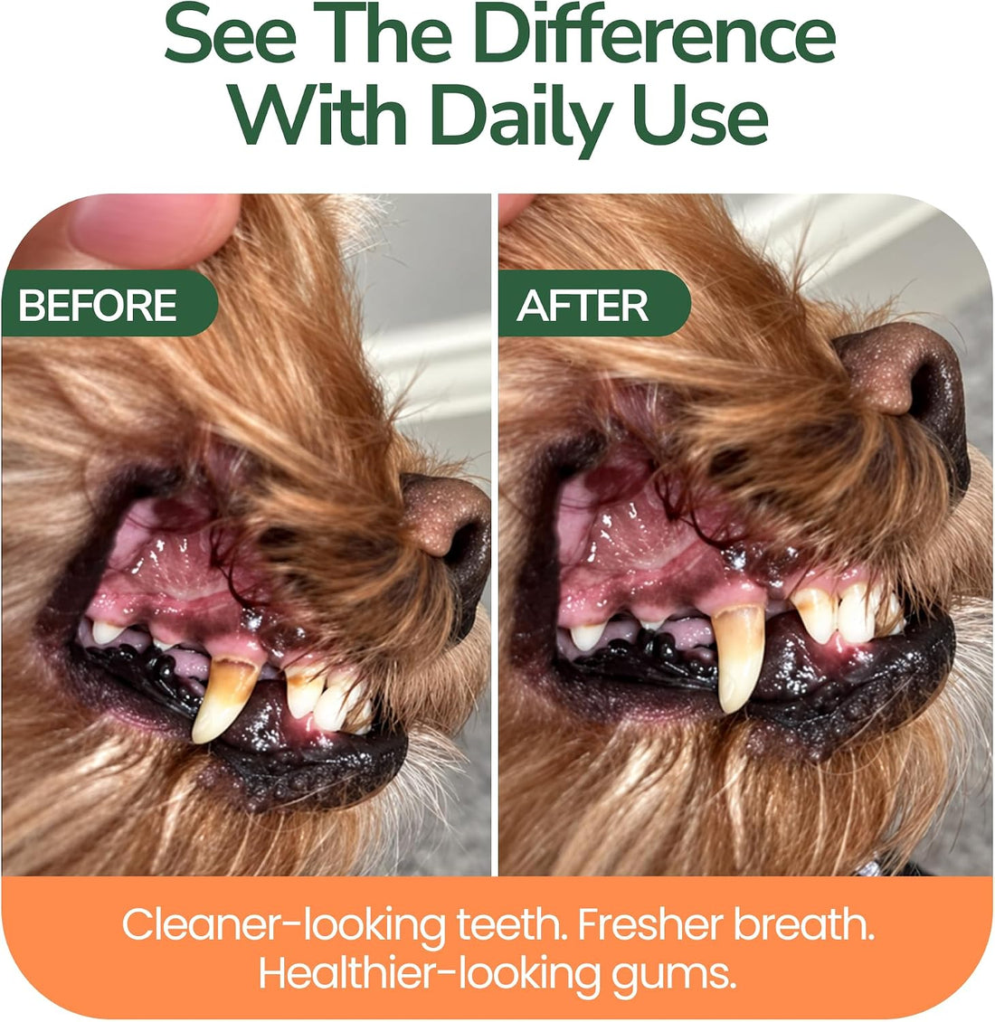 Doggies™ Dental Treats with lactoferrin