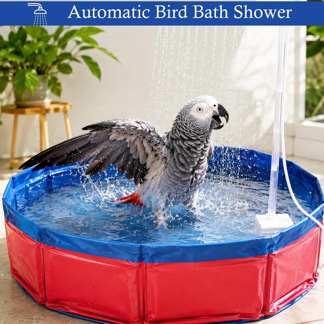 Extra-Large Bird Automatic Bath Shower