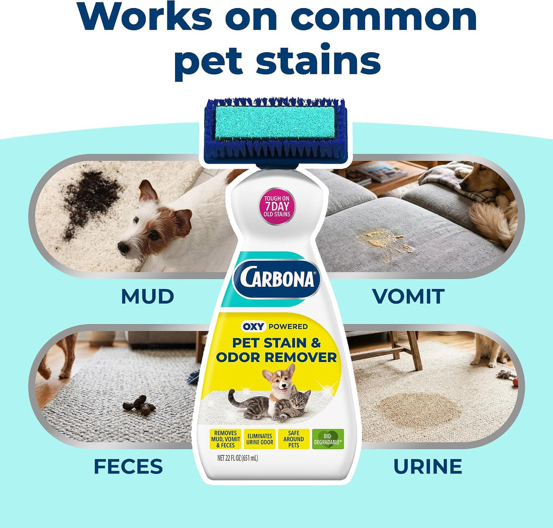Carbona 2-in-1 Oxy-Powered Pet Stain & Odor Remover, 22 Fl Oz