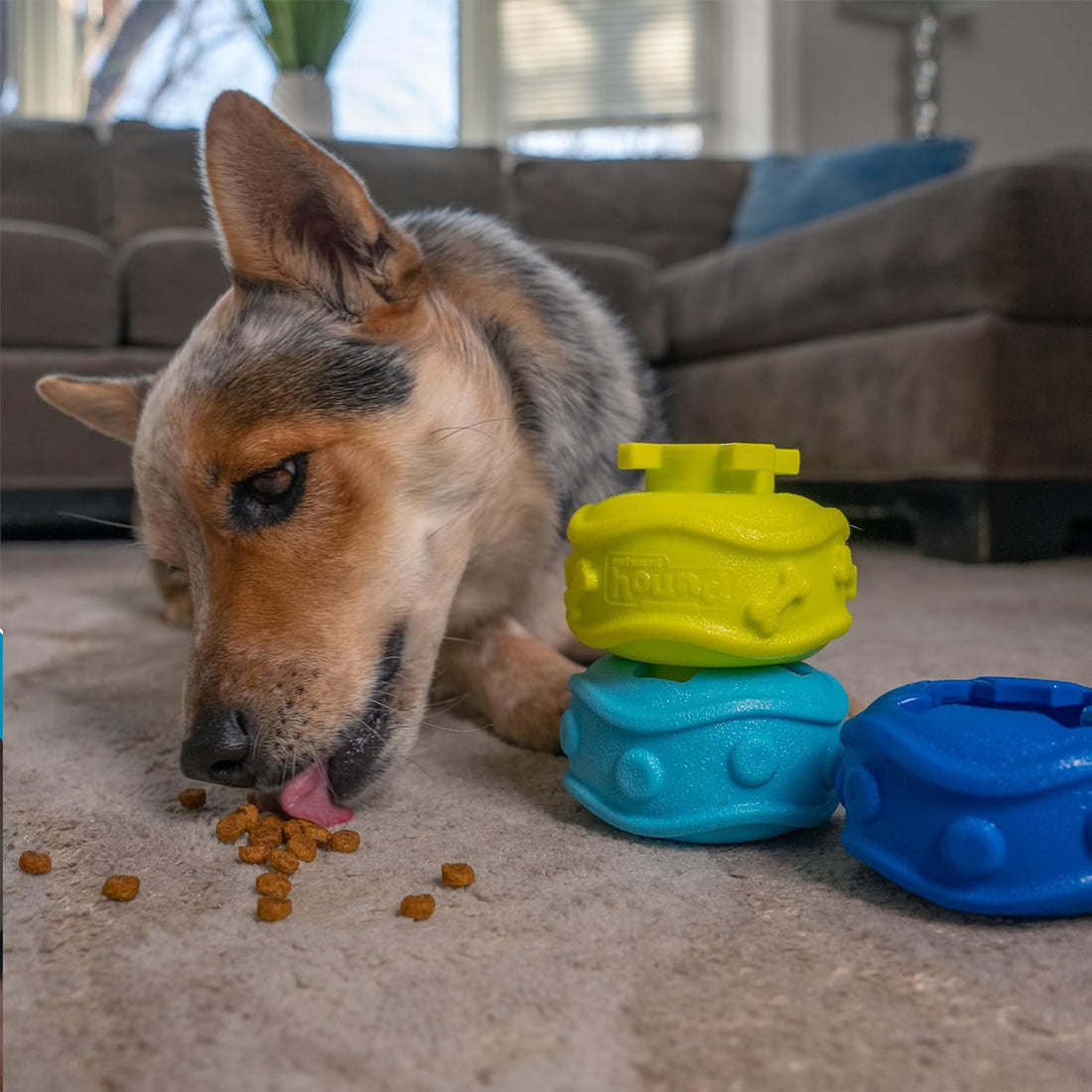 Outward Hound Treat Locking Discs Dog Treat Dispenser Puzzle Toy