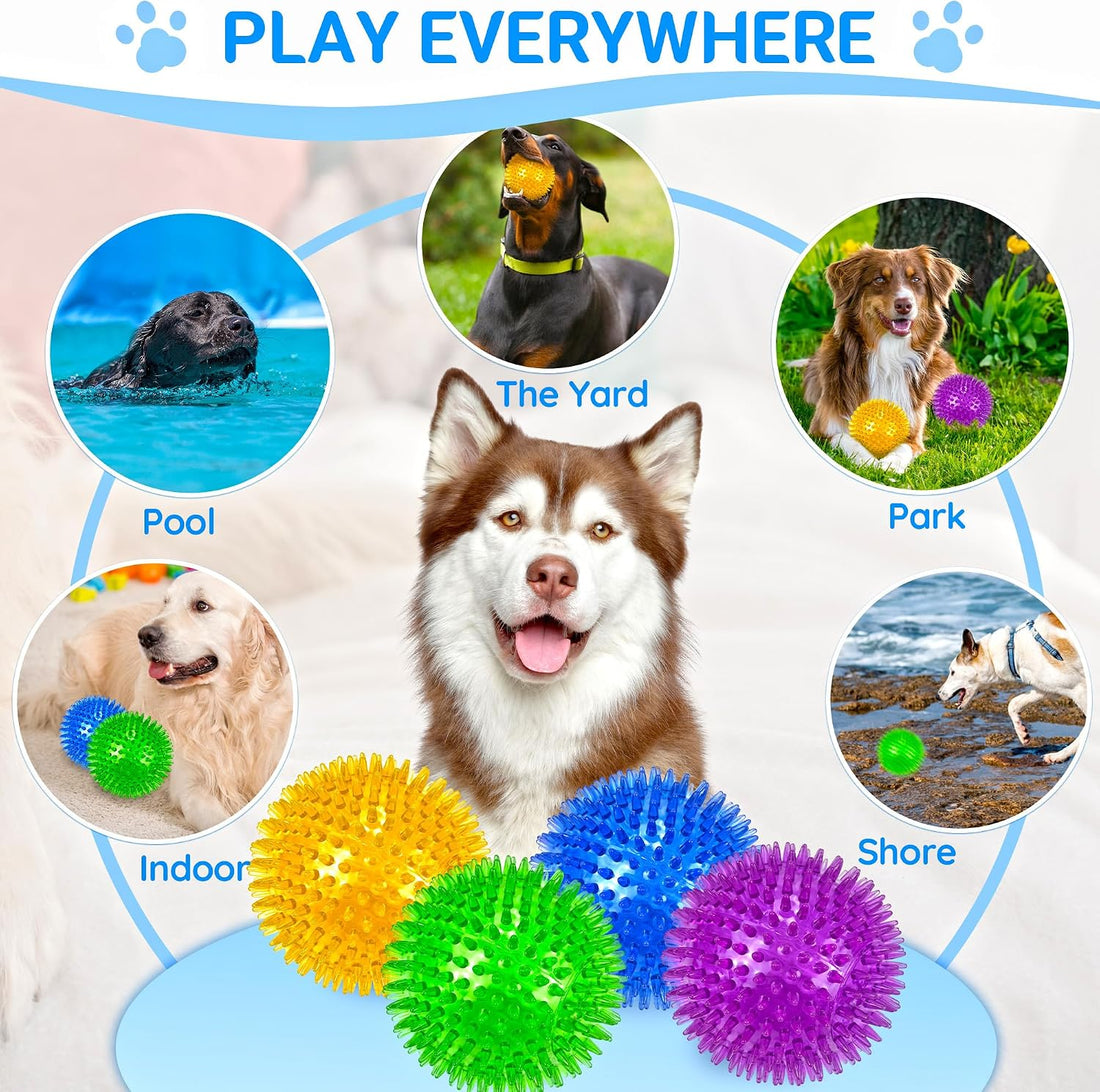 LECHONG 4-Pack Large Squeaky Dog Balls