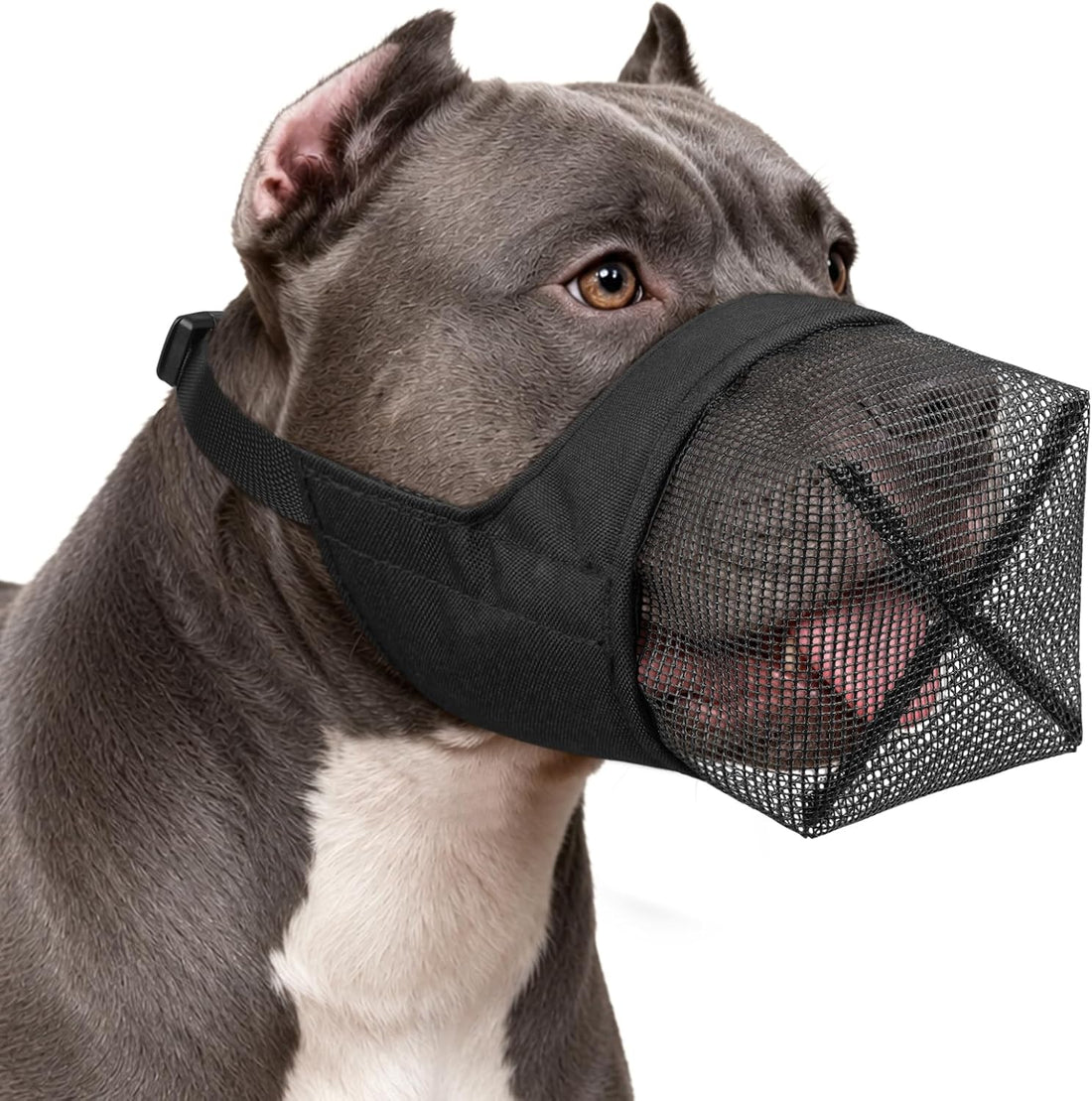 Mayerzon Full Covered Muzzle for Pitbull Bully Rottweiler Medium