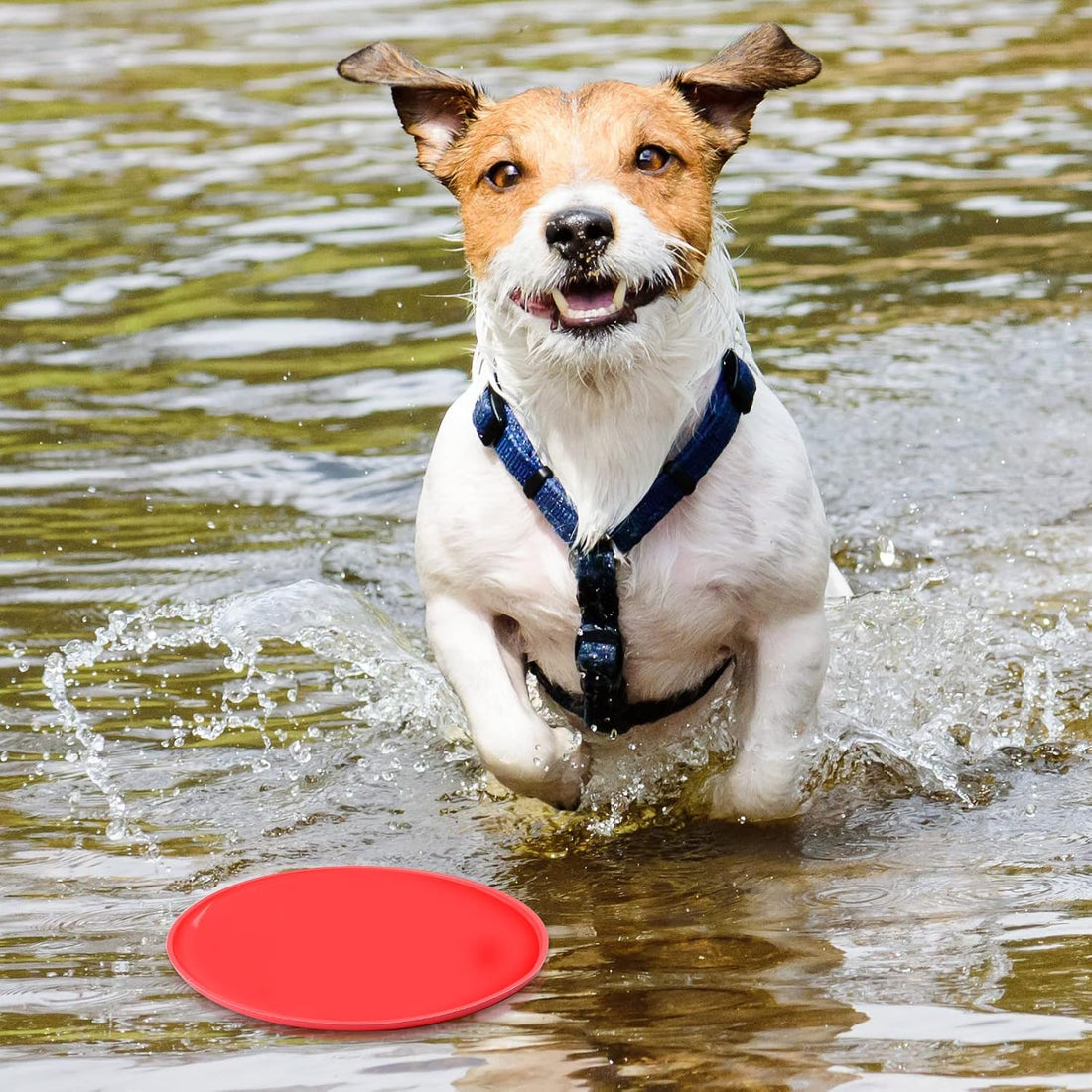 Chivao 15 Pack Dog Flying Disc, Soft Silicone Puppy Flyer Toy