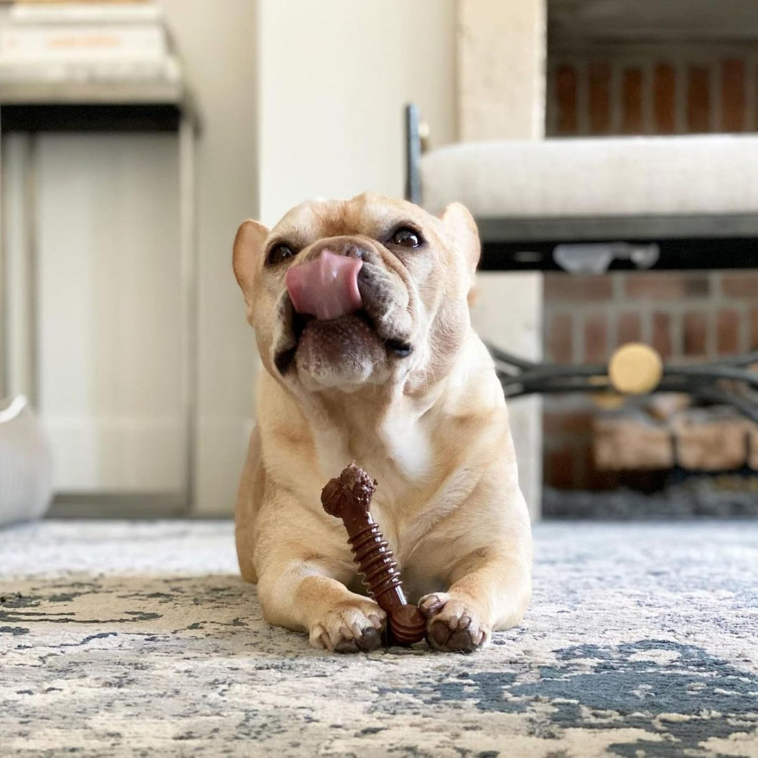 Nylabone Power Chew Groove Bone - Dog Toys for Aggressive Chewers