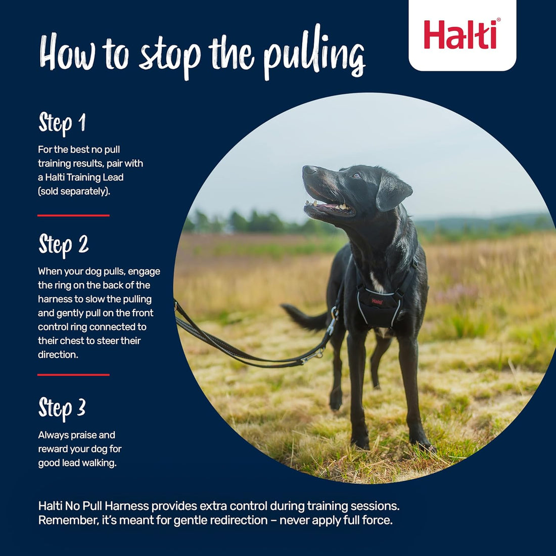Halti No Pull Dog Harness | Size L, Black