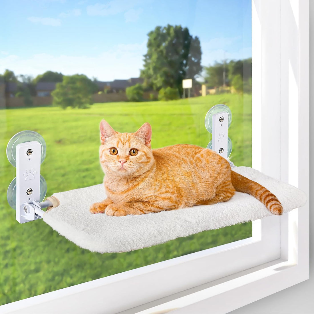 AMOSIJOY Cordless Cat Window Perch with Cushion Bed Metal Frame